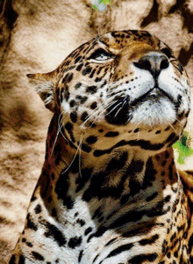 леопард 2 - леопард, кошка - предпросмотр