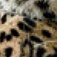 Предпросмотр схемы вышивки «леопард 4» (№963967)