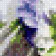 Предпросмотр схемы вышивки «Серия "Акварель и цветы"» (№964051)