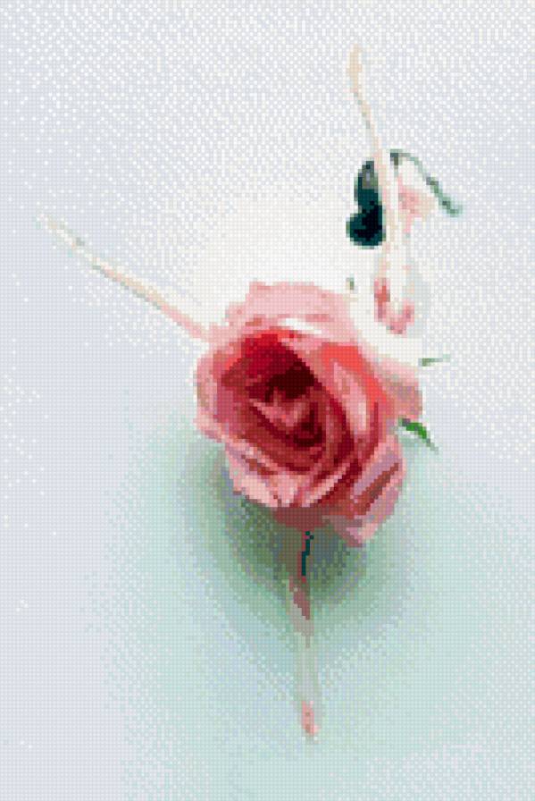 Серия "Акварель и цветы" - роза, девушка, балерина, цветы - предпросмотр