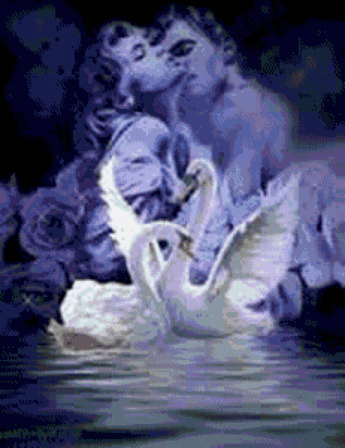 Аллегория лебеди - пара, поцелуй, он и она, любовь - предпросмотр