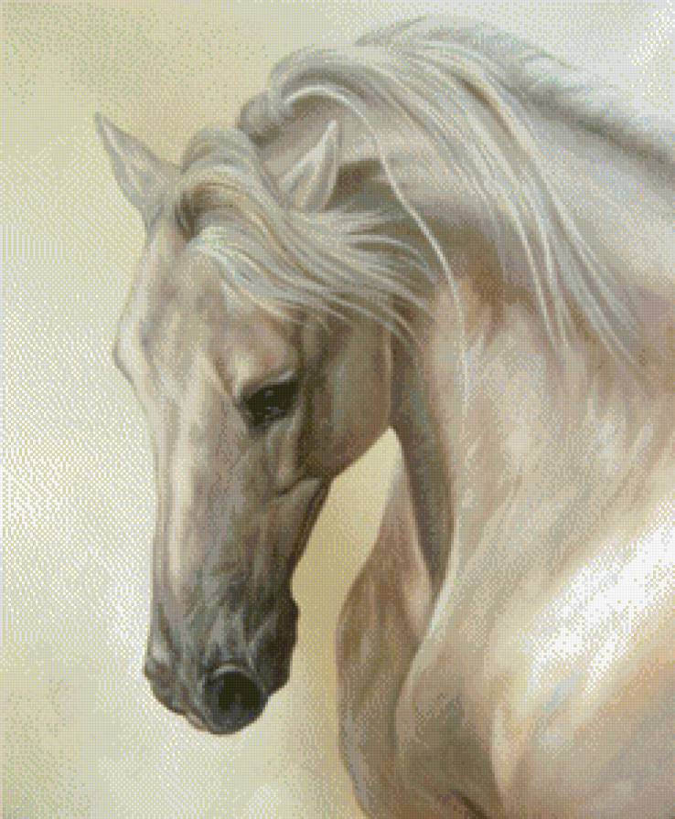 белая лошадь - конь, лошадь - предпросмотр