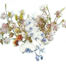 Схема вышивки «flores chinas como me gustan»