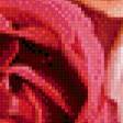 Предпросмотр схемы вышивки «розы» (№966069)