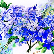 букет синих цветов
