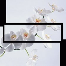 Оригинал схемы вышивки «орхидея» (№966149)