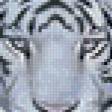 Предпросмотр схемы вышивки «тигр на скале» (№966342)