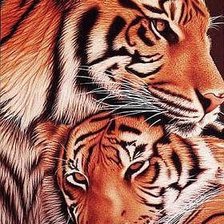 Оригинал схемы вышивки «тигры» (№966559)