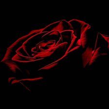 Оригинал схемы вышивки «Роза красная» (№966721)