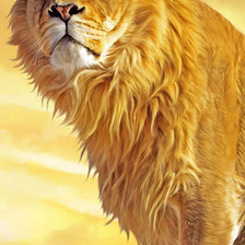 King Leon 2