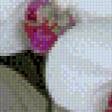 Предпросмотр схемы вышивки «орхидеи» (№967498)
