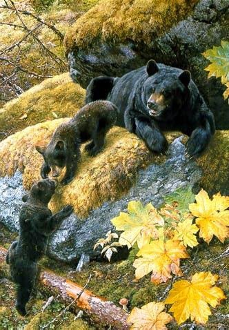 Медведи в осеннем лесу. - лес, медвежата, семья, осень, медведи - оригинал