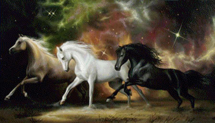Трио - конь, животные, лошадь - предпросмотр