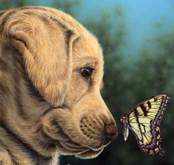 Серия "Домашние любимцы" - собака, песик, носик, пес, бабочка - оригинал