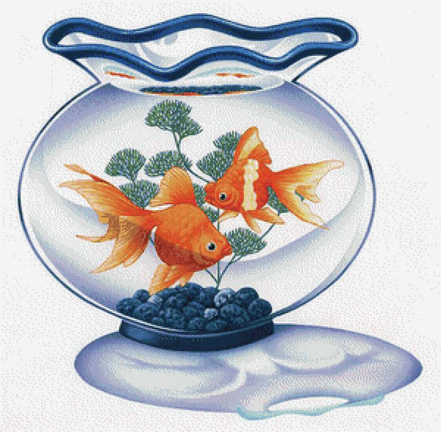 золотые рыбки - рыбки, аквариум - предпросмотр
