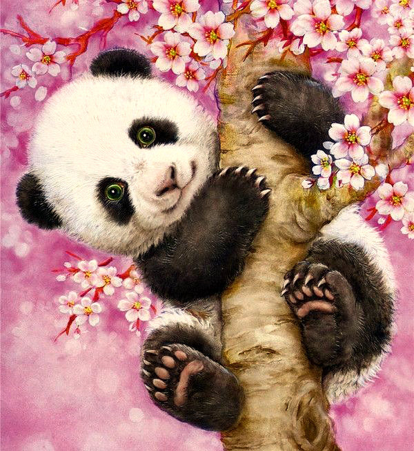 Серия "Дикая природа" - дерево, панда, мишка, мультяшки, игра, цветы - оригинал