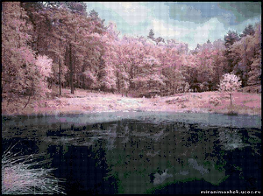 озеро в лесу - озеро, лес природа - предпросмотр