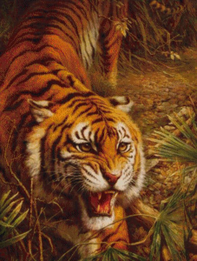 тигр - хищник, тигр - предпросмотр