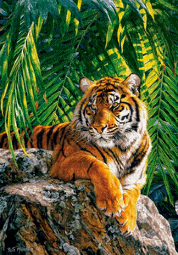 тигр - тигр, хищник - предпросмотр