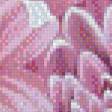 Предпросмотр схемы вышивки «хризантемы» (№970348)