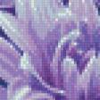 Предпросмотр схемы вышивки «хризантемы» (№970350)