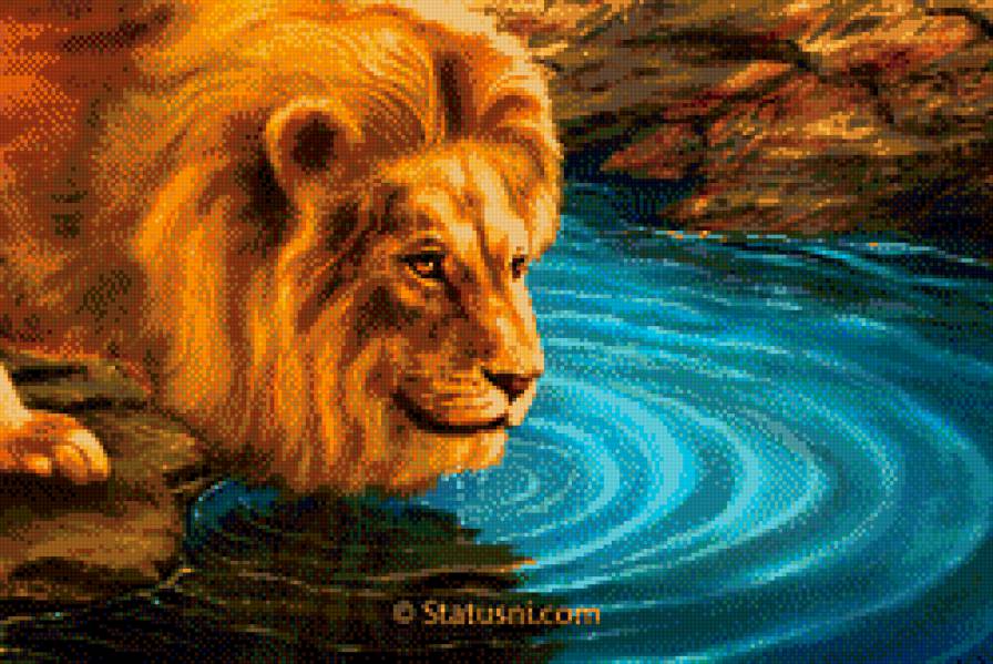 лев - животные, вода - предпросмотр