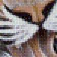 Предпросмотр схемы вышивки «тигры» (№971176)