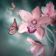 Оригинал схемы вышивки «бабочка на орхидее» (№971468)