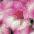 Предпросмотр схемы вышивки «Цветы» (№971470)