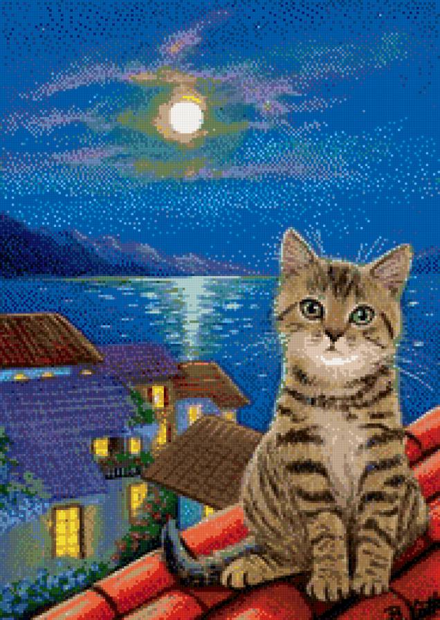 котик на крыше - коты, кот, ночь, луна, животные, кошка - предпросмотр