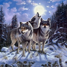 волки 3
