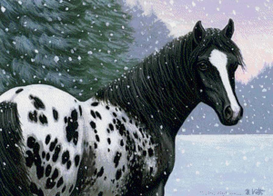 лошадка - эима, животные, снег, лошади, кони, лошадь - предпросмотр