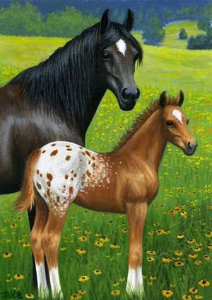 лошадки - животные.жеребенок, лошади, лошадка, кони, лошадь - оригинал