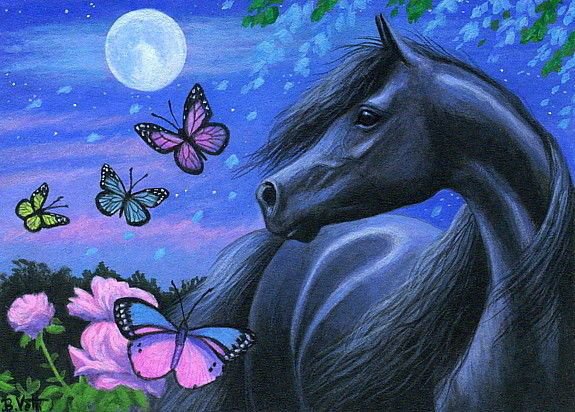 лошадка - лошадка, животные, кони, ночь, абочки, лошадь, лошади - оригинал
