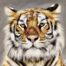 Оригинал схемы вышивки «портрет тигрули» (№972323)