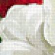 Предпросмотр схемы вышивки «белые тюльпаны» (№973557)