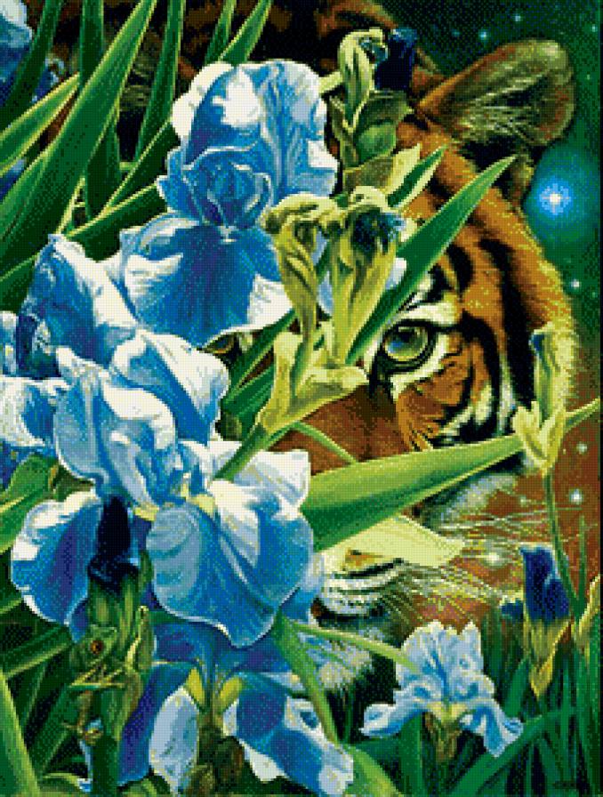 Серия "Дикая природа" - ночь, тигр, ирисы, лягушка, цветы, взгляд - предпросмотр