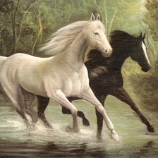 Оригинал схемы вышивки «лошади белая и вороная» (№974243)