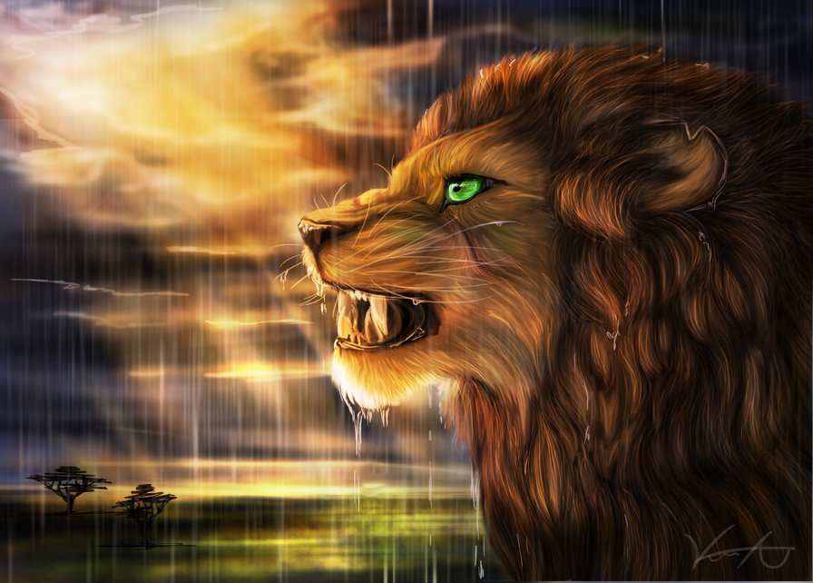 лев под дождём - кошки, природа, дождь, животные, лев - оригинал