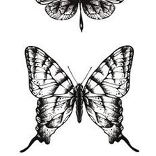 Схема вышивки «бабочки монохром»
