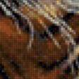 Предпросмотр схемы вышивки «благородный тигр» (№974859)