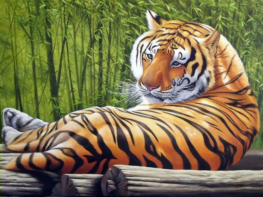 Тигр - тигр, животные, хищник - оригинал