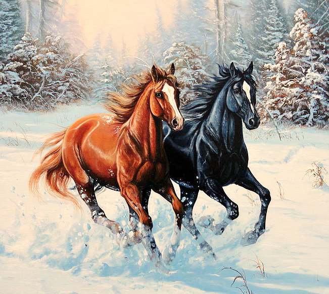 Серия "Лошади, кони" - снег, зима, мороз, пейзаж, галоп - оригинал