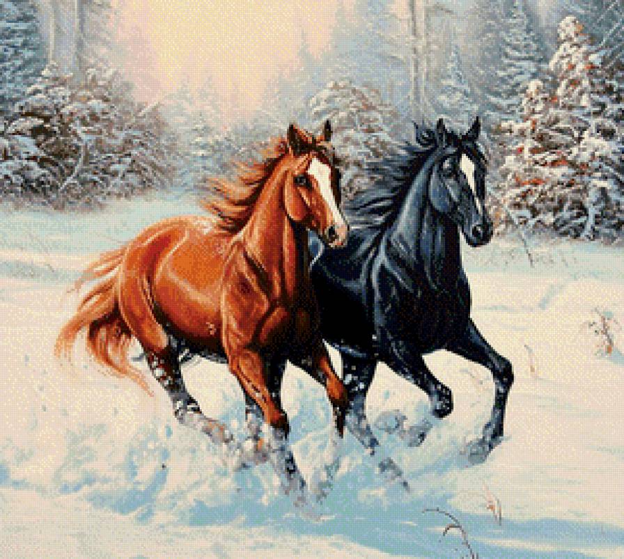 Серия "Лошади, кони" - пейзаж, галоп, зима, мороз, снег - предпросмотр