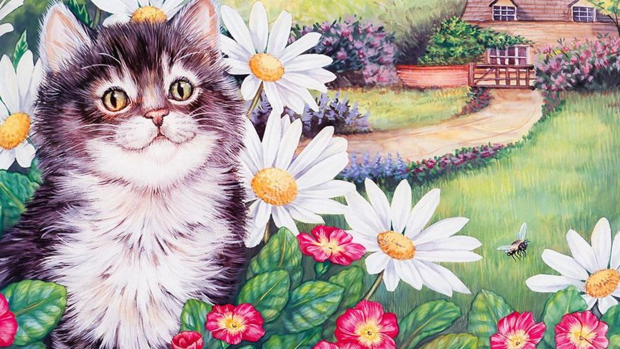 Котёнок в ромашках - цветы, кот, животное, ромашки - оригинал