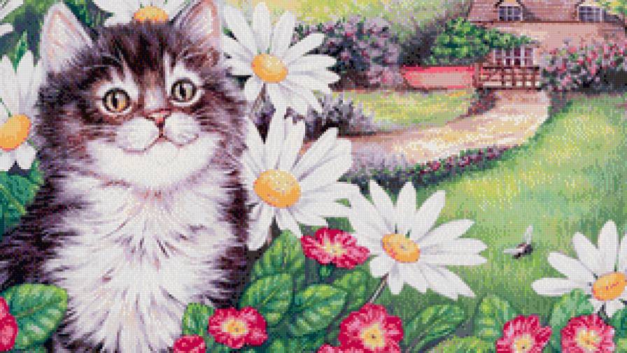 Котёнок в ромашках - цветы, животное, кот, ромашки - предпросмотр