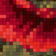 Предпросмотр схемы вышивки «маков цвет» (№975792)