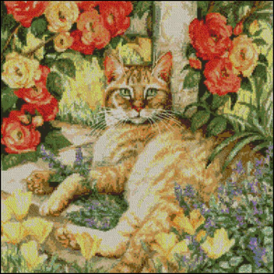 мисс табби - кошка, цветы - предпросмотр