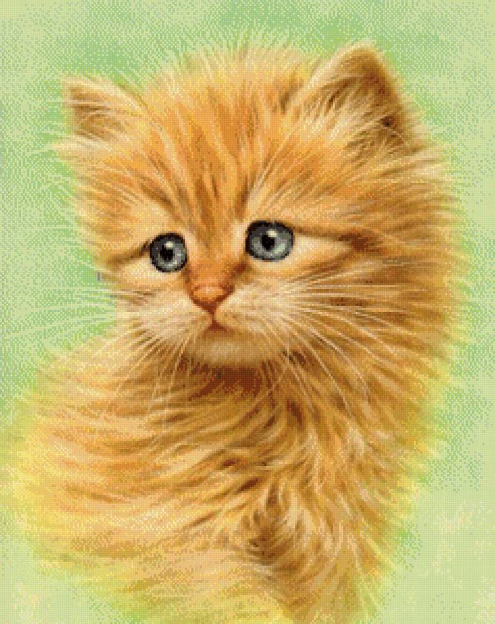 Серия "Домашние любимцы" - портрет, рыжий котенок - предпросмотр