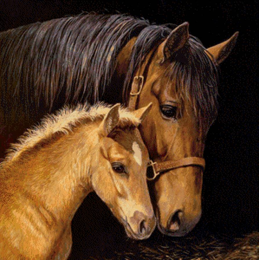 Серия "Лошади, кони" - кобылица, мать и дитя, жеребенок - предпросмотр